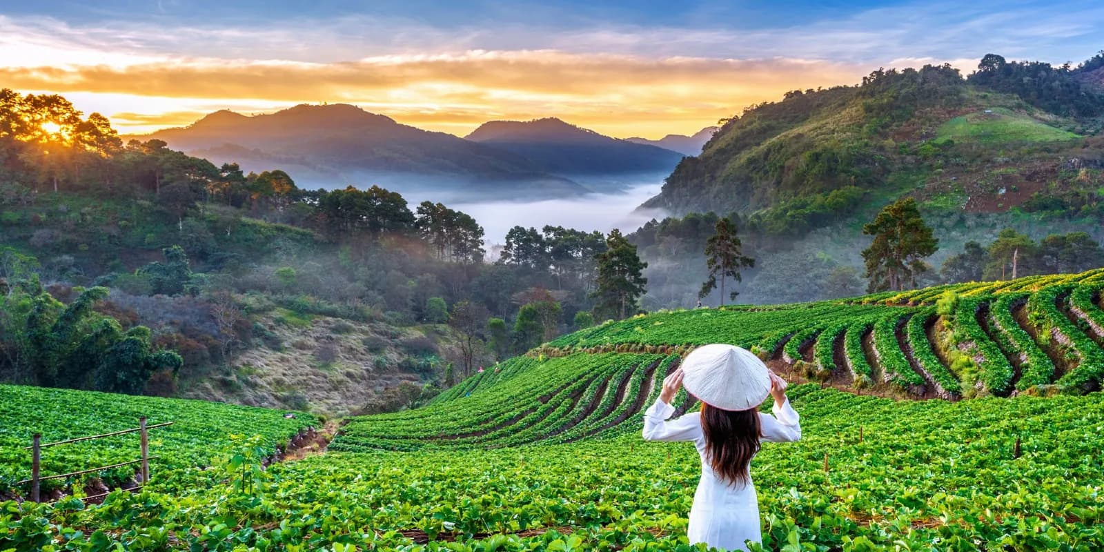 Darjeeling Queen of Hills