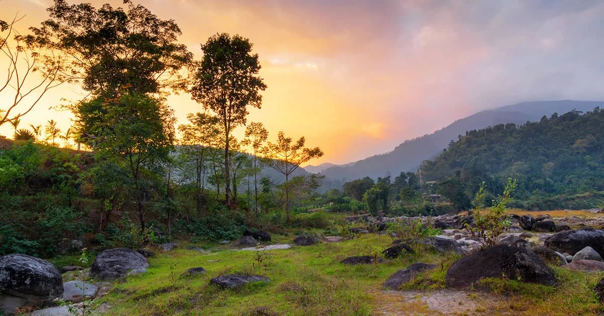 Dooars Terai Landscape
