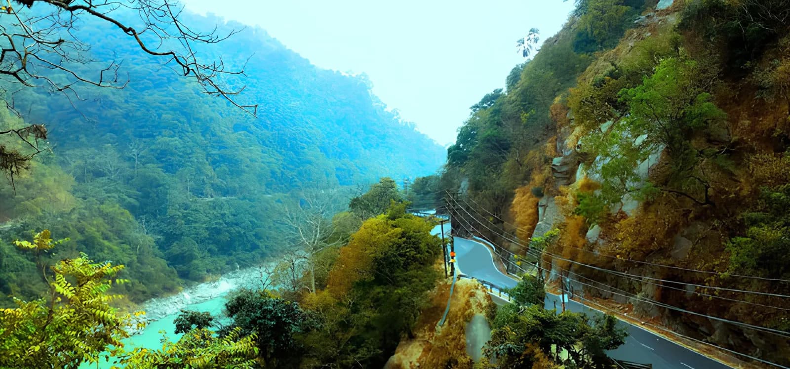 Membership Eligibility