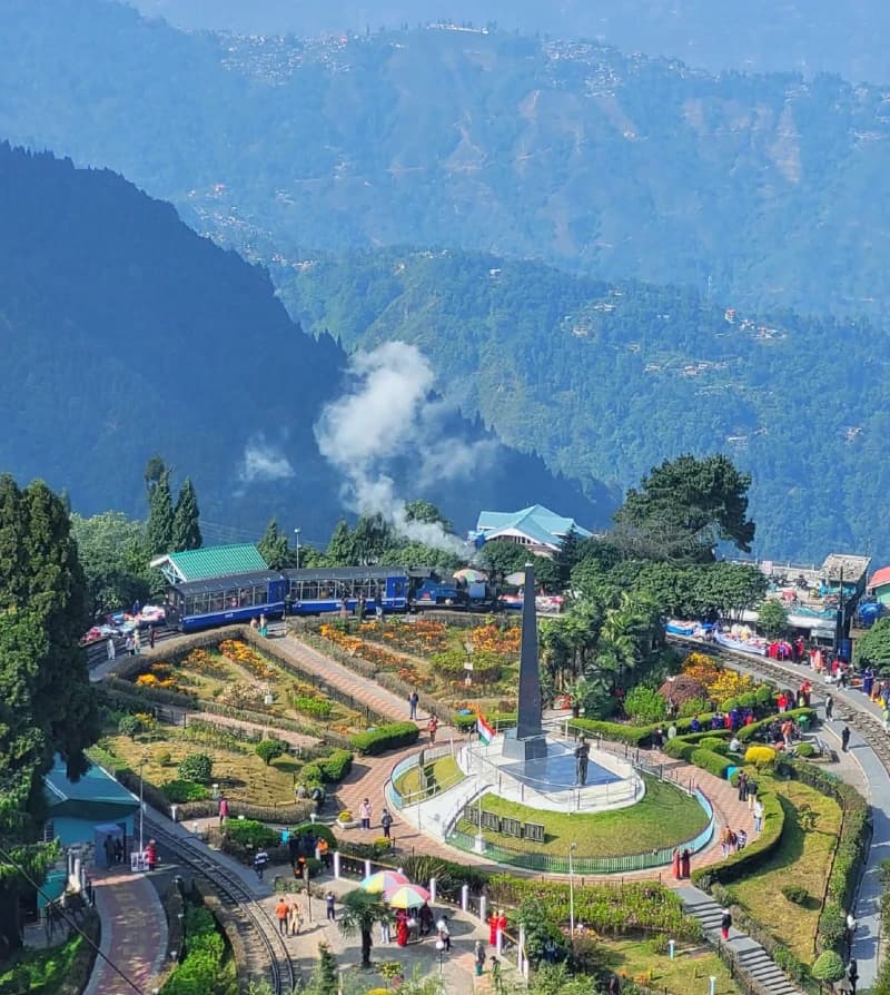 Tourist Transport Operators